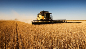 Урожай зерна в РФ приближается к 160 миллионам тонн